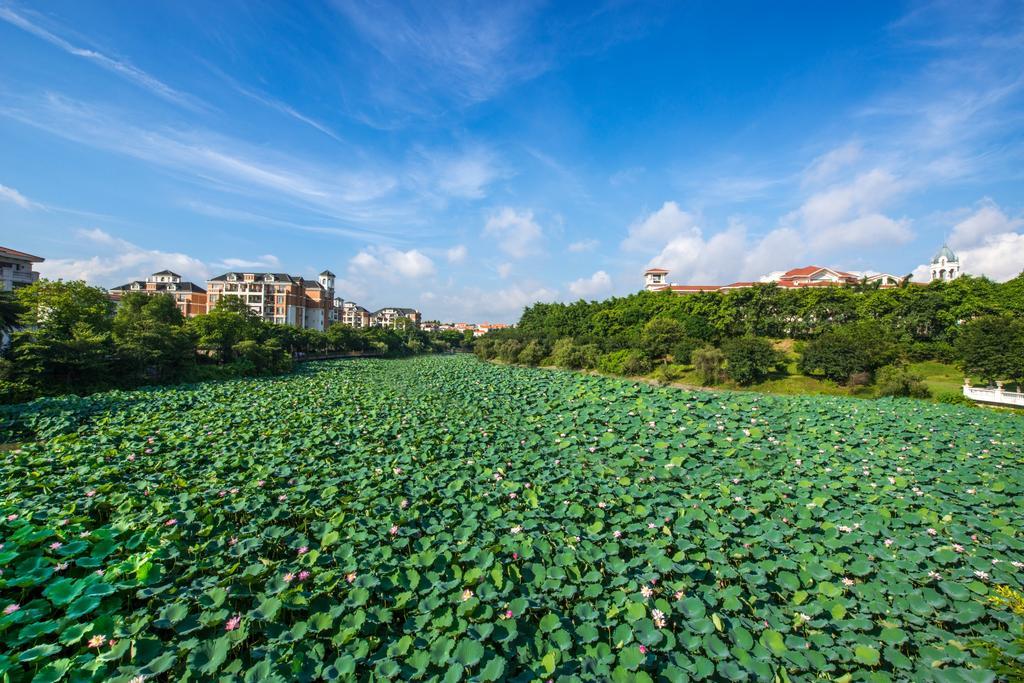 Heshan Phoenix Hotel Jiangmen Extérieur photo
